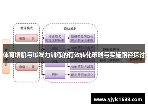 体育增肌与爆发力训练的有效转化策略与实施路径探讨